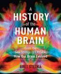 history of the human brain