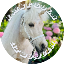 Image of white miniature horse with unicorn horn. 