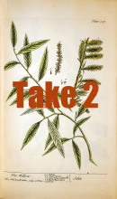 take 2 exhibit